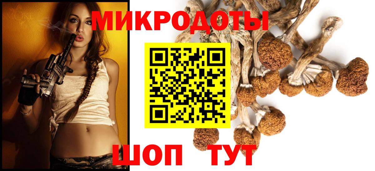 Галлюциногенные грибы мицелий Абакан