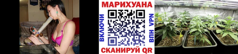 Бошки марихуана тримм  цена наркотик  Абакан 