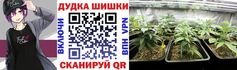 Каннабис Amnesia Абакан
